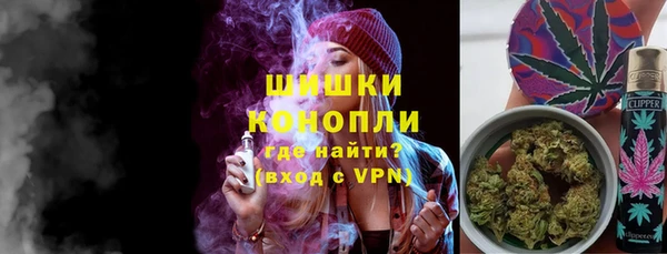 сатива Армянск