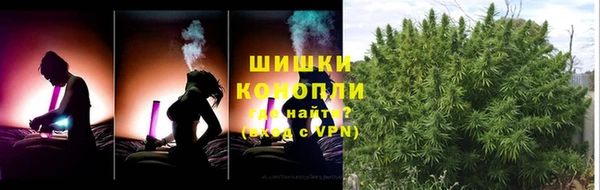 сатива Армянск