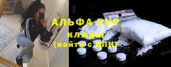 сатива Армянск