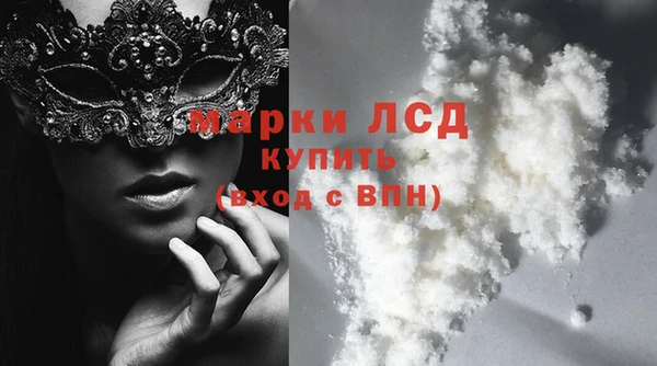 сатива Армянск