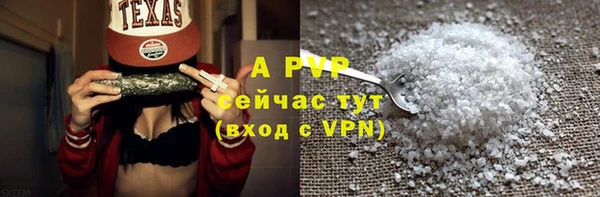сатива Армянск