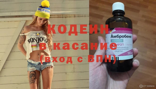 сатива Армянск