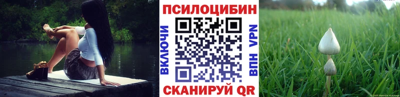 Псилоцибиновые грибы MAGIC MUSHROOMS  купить наркотик  Сосновый Бор 